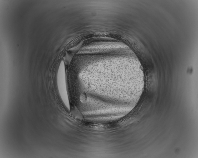 X0000097900229200803281346