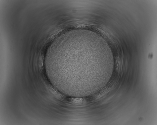 X0000097900230200803281346