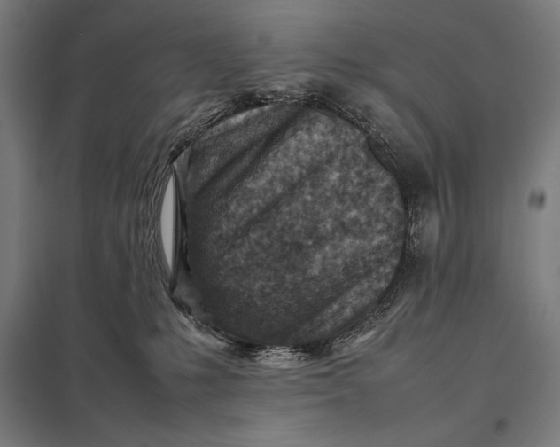 X0000097900231200803281346