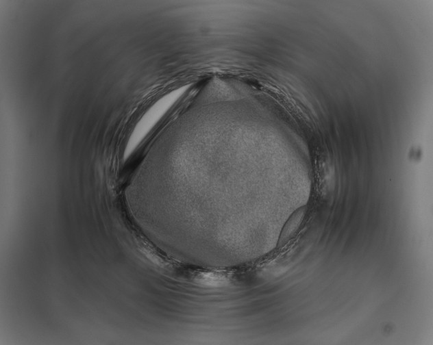 X0000097900232200803281346