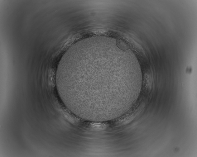 X0000097900234200803281346