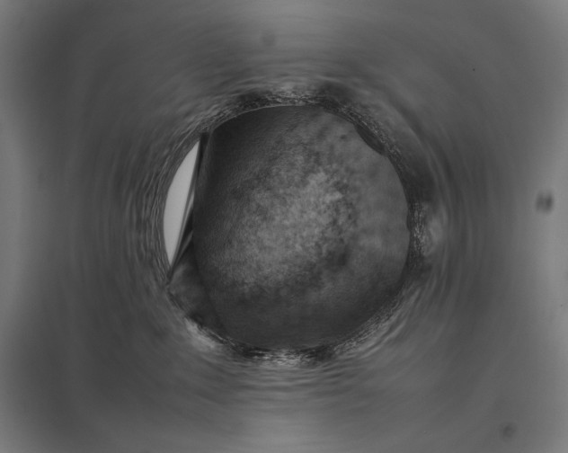 X0000097900235200803281346