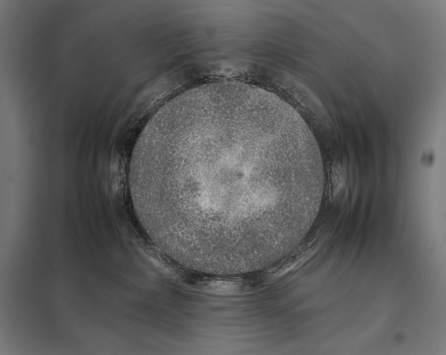 X0000097900236200803281346