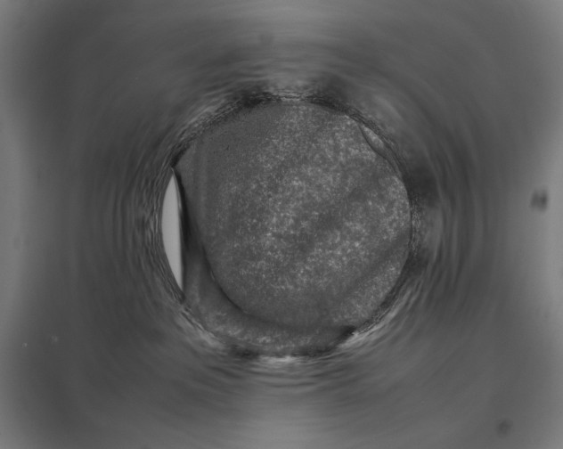 X0000097900237200803281346