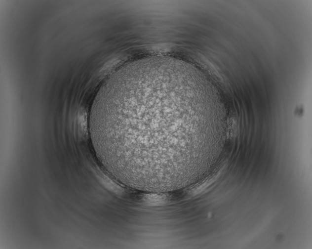 X0000097900238200803281346