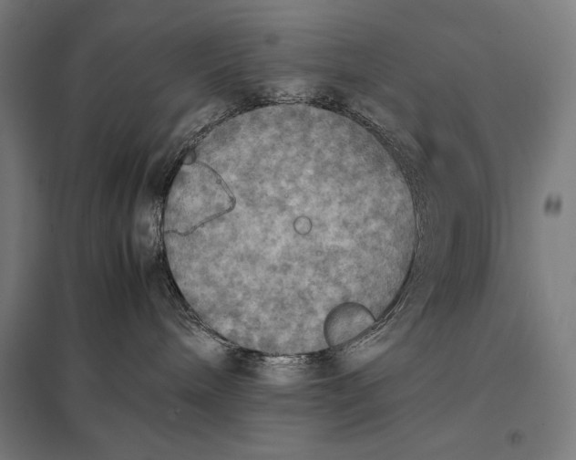 X0000097900240200803281346