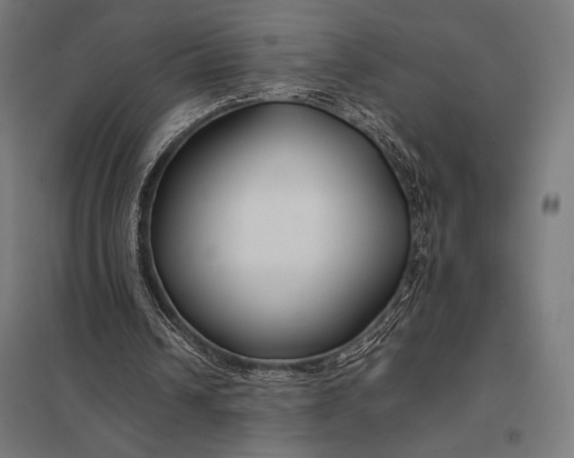 X0000097900242200803281345