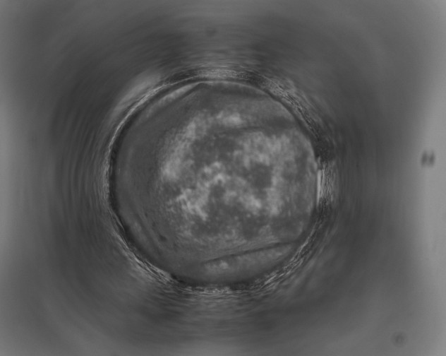 X0000097900243200803281345