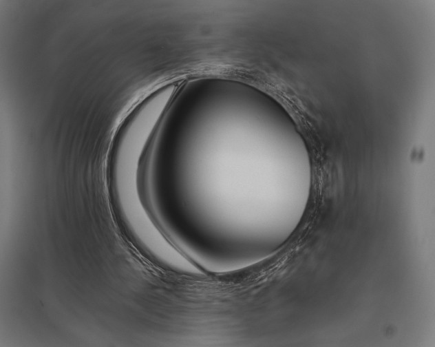 X0000097900244200803281345