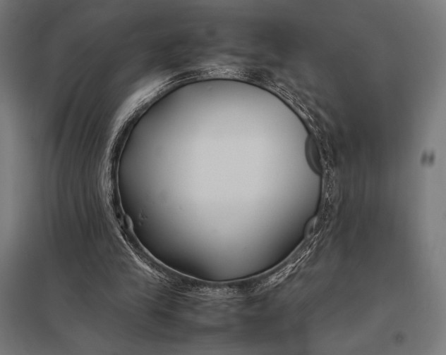 X0000097900245200803281345