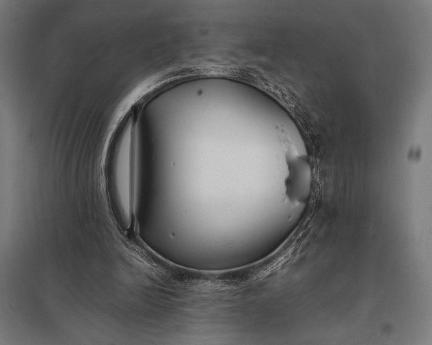 X0000097900246200803281345