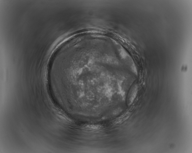 X0000097900247200803281345