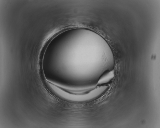 X0000097900248200803281345