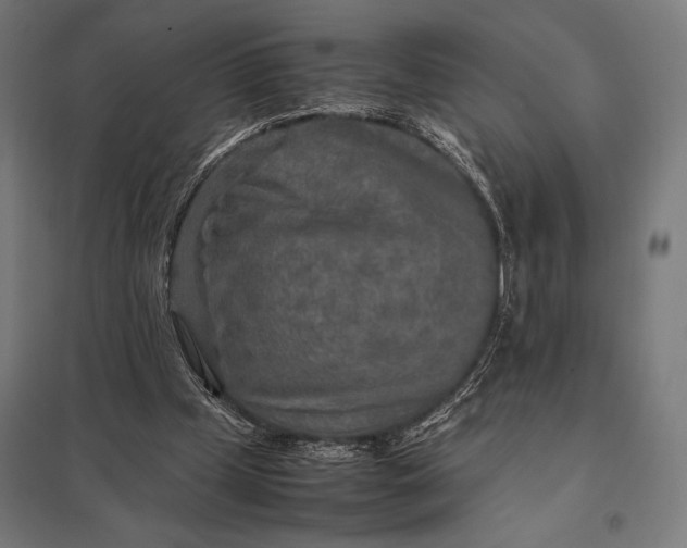 X0000097900249200803281345