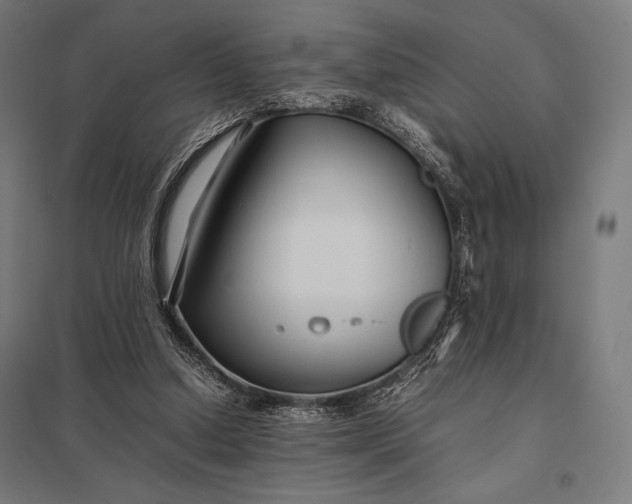 X0000097900250200803281345