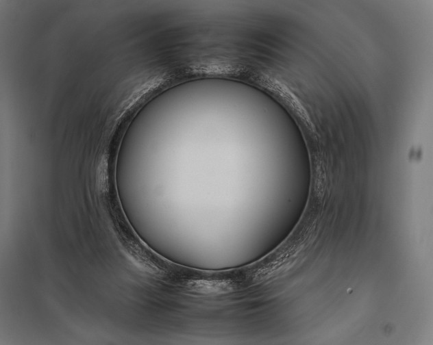 X0000097900251200803281345