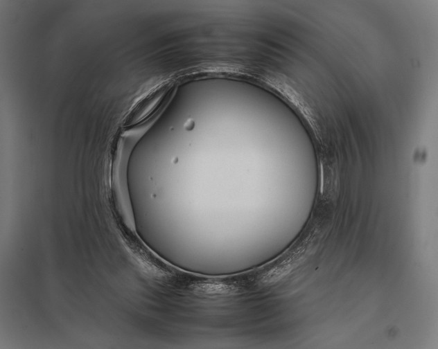 X0000097900253200803281345