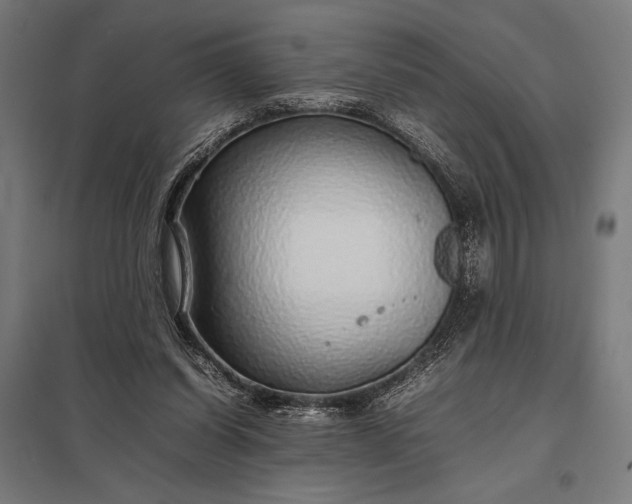 X0000097900254200803281346