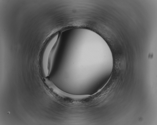 X0000097900256200803281346