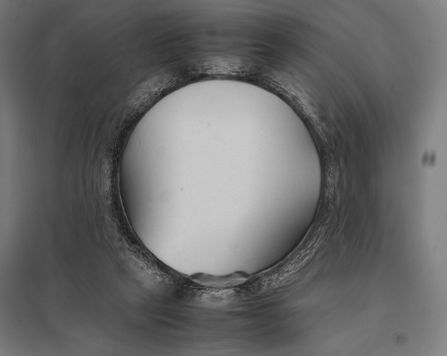 X0000097900257200803281346