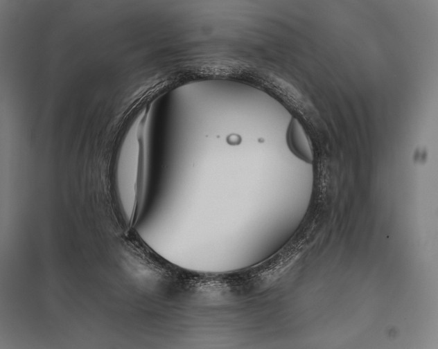 X0000097900258200803281346