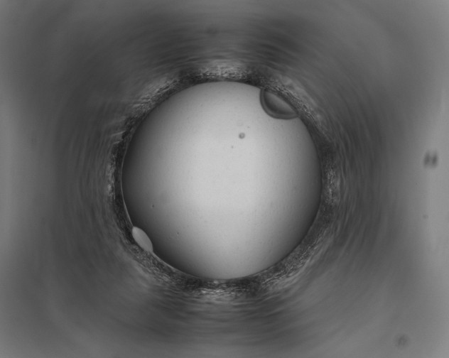 X0000097900259200803281346