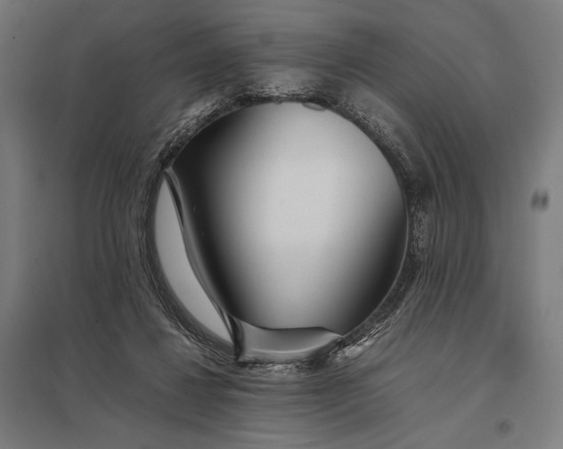 X0000097900260200803281346