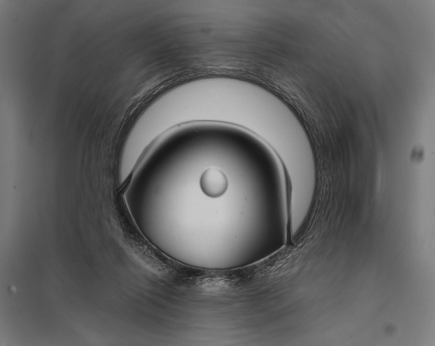 X0000097900262200803281346