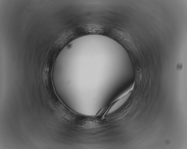 X0000097900263200803281346