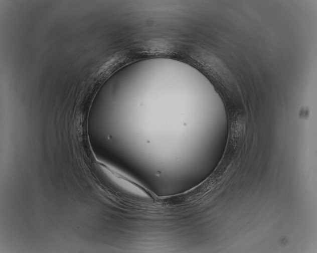 X0000097900264200803281346