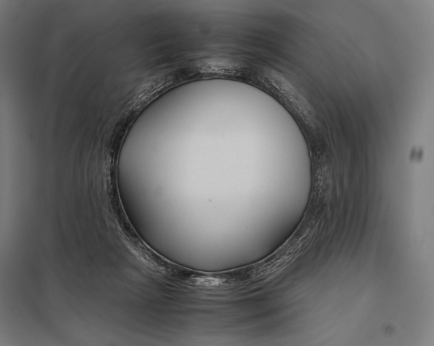 X0000097900265200803281346