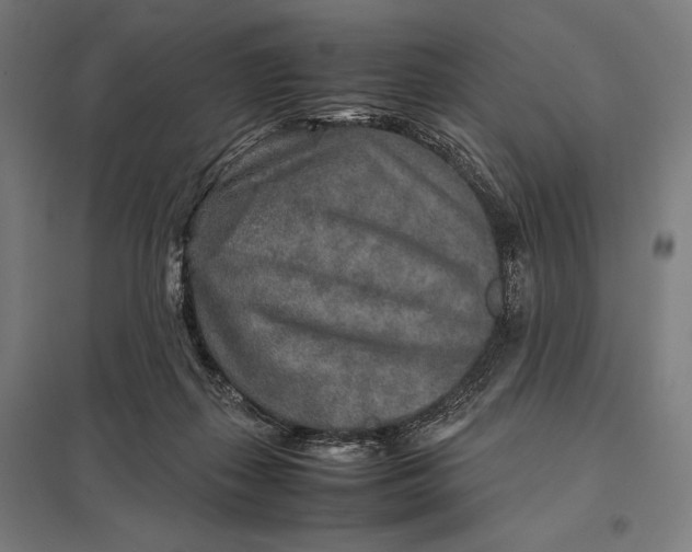 X0000097900267200803281346