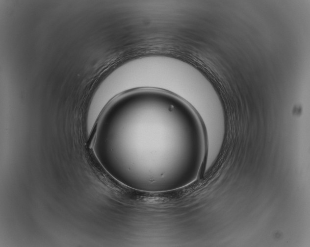 X0000097900268200803281346