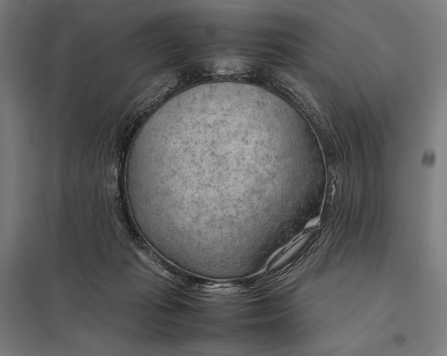 X0000097900269200803281346