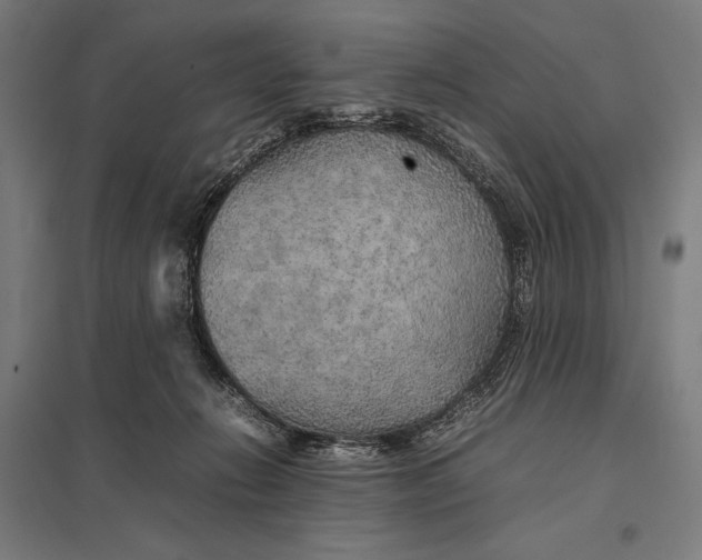 X0000097900270200803281346