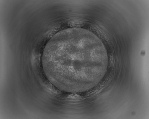 X0000097900271200803281346