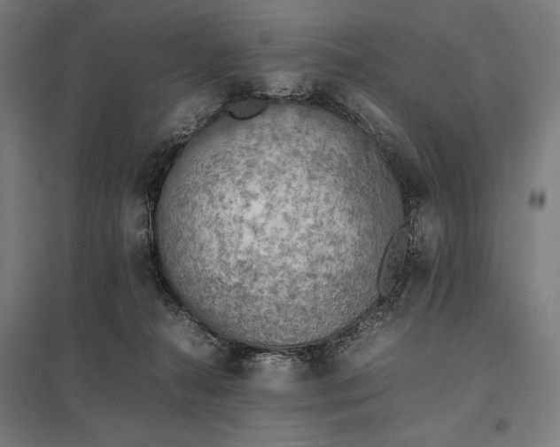 X0000097900272200803281346