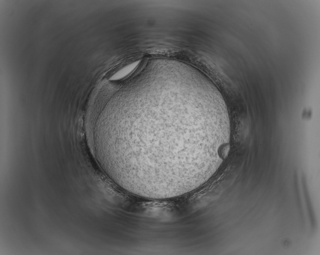 X0000097900273200803281346