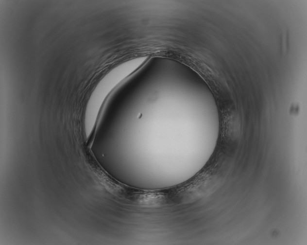 X0000097900274200803281346