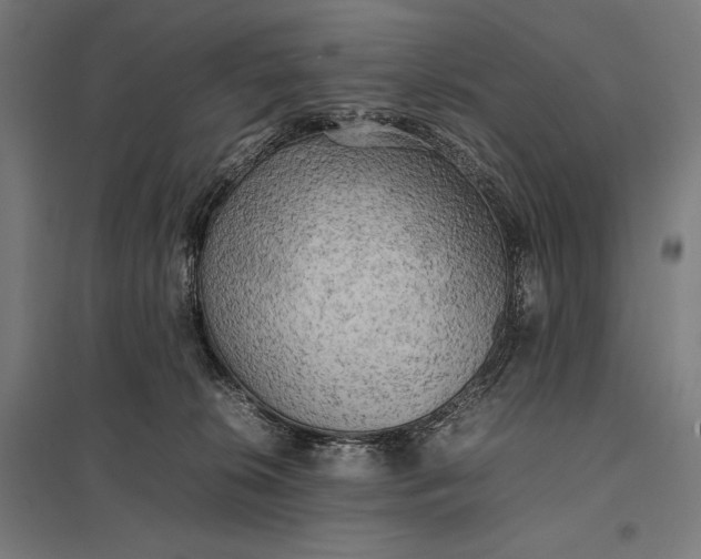 X0000097900276200803281346