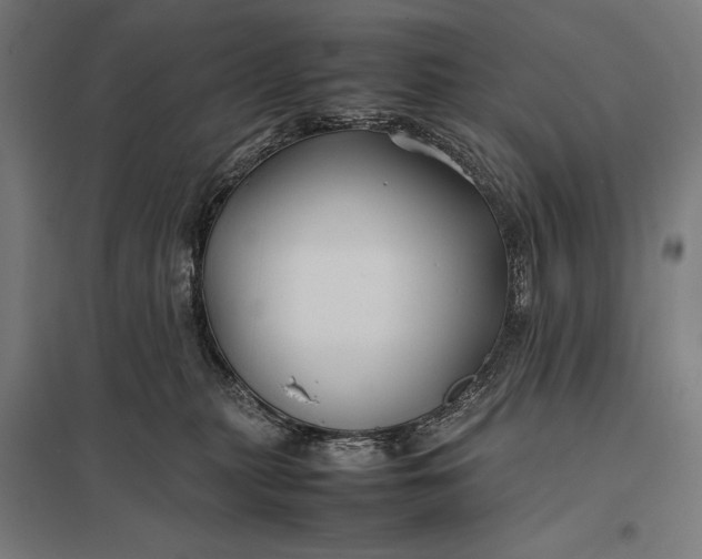 X0000097900279200803281346