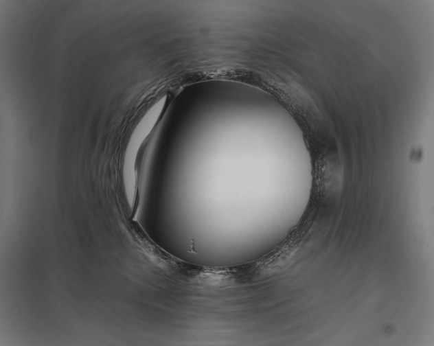 X0000097900280200803281346