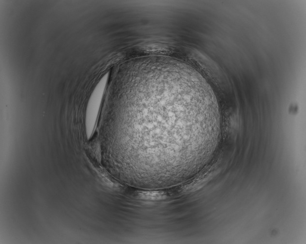 X0000097900281200803281346