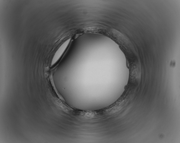 X0000097900282200803281346