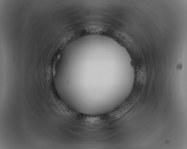 X0000097900283200803281346