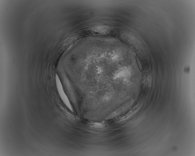 X0000097900285200803281346