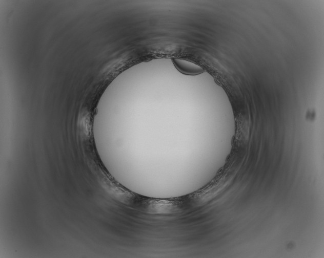 X0000097900287200803281346