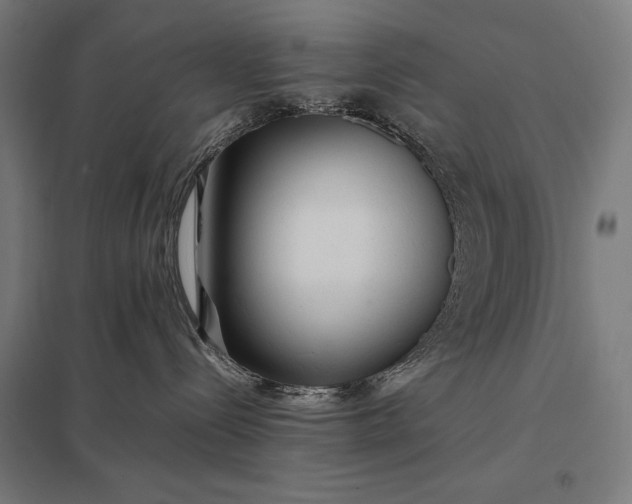 X0000097900288200803281346