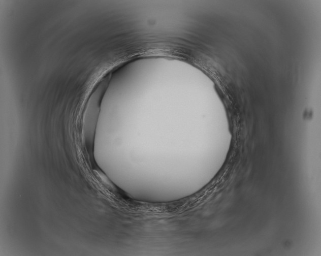 X0000097900289200803281345