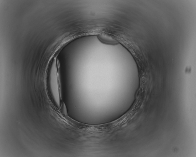 X0000097900290200803281345